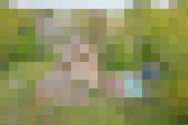 Beerzerweg 18 Beerze thumbnail 83