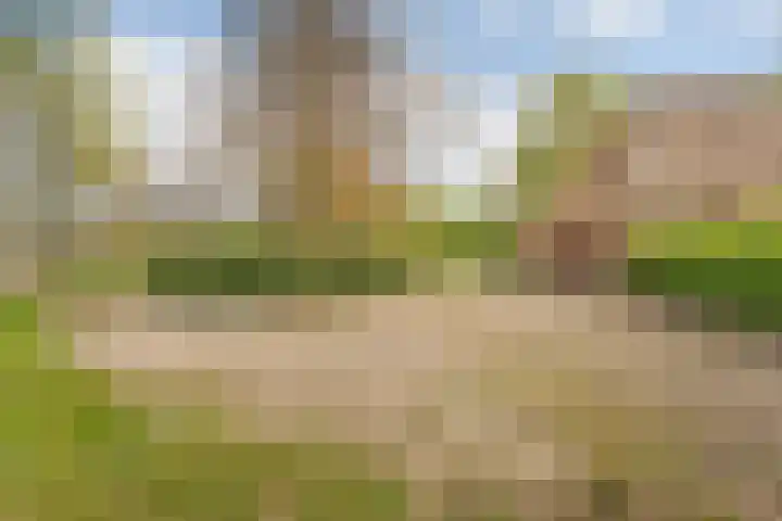 Beerzerweg 18 Beerze thumbnail 89