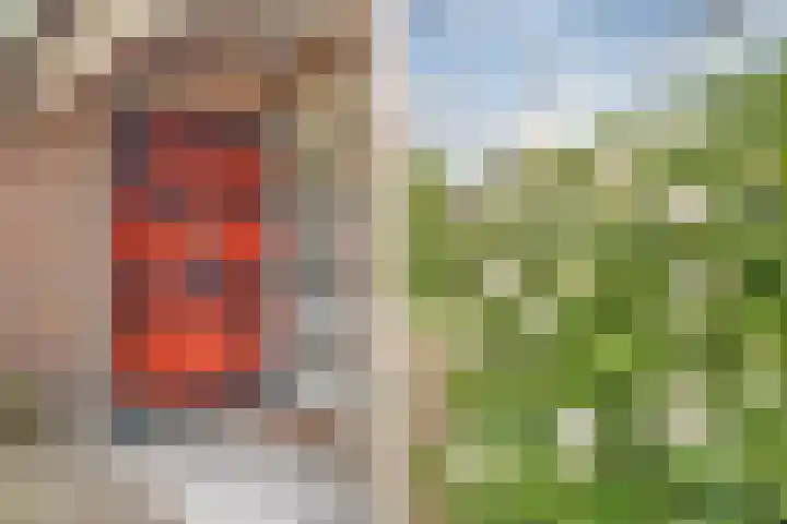 Beerzerweg 18 Beerze thumbnail 9