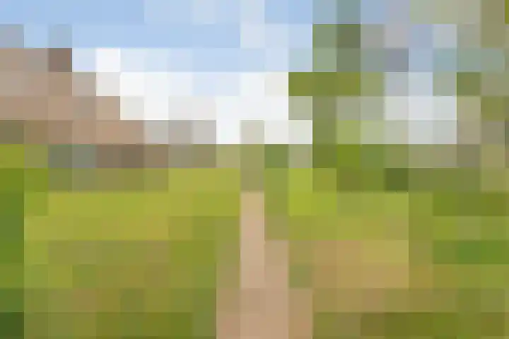 Beerzerweg 18 Beerze thumbnail 90