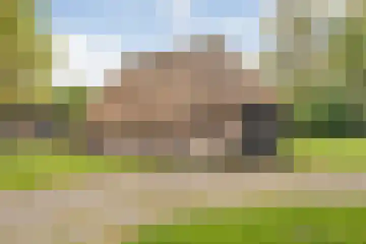Beerzerweg 18 Beerze thumbnail 91