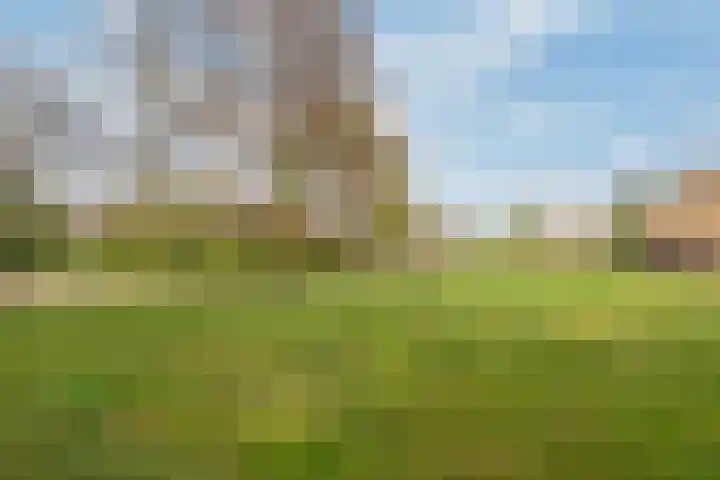 Beerzerweg 18 Beerze thumbnail 92