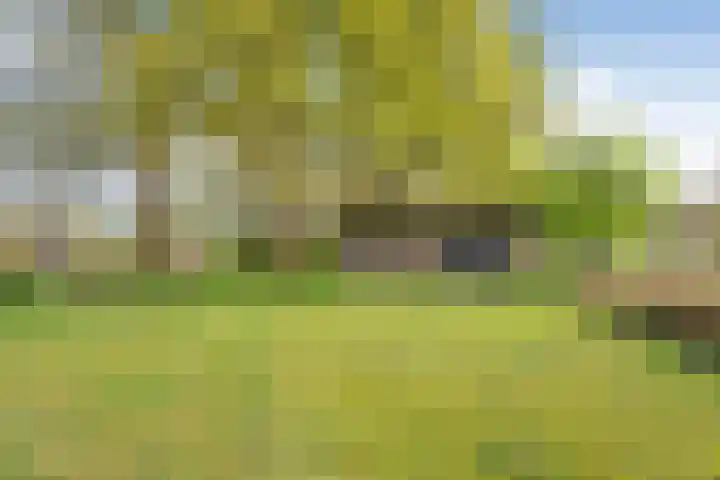Beerzerweg 18 Beerze thumbnail 93