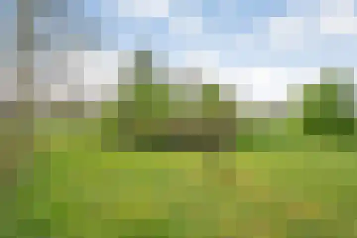 Beerzerweg 18 Beerze thumbnail 96