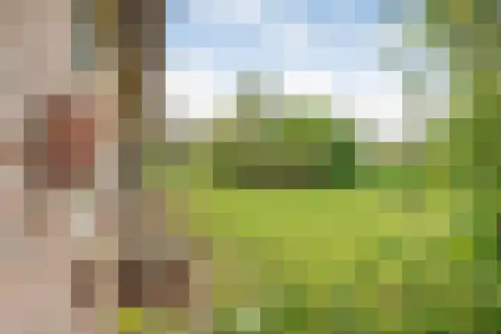Beerzerweg 18 Beerze thumbnail 98