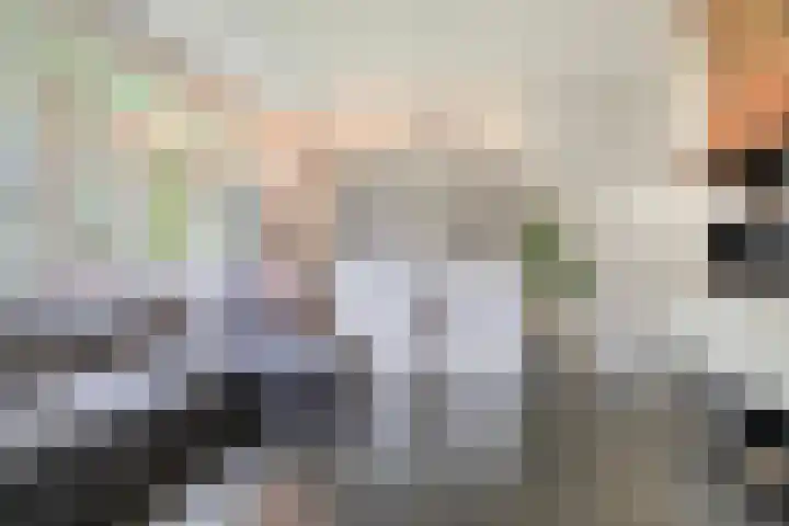 Beerzerweg 7 Ommen thumbnail 24