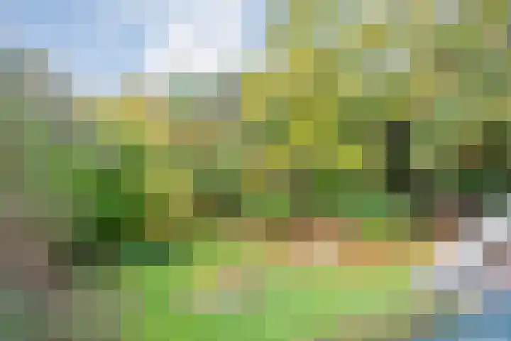 Beerzerweg 7 Ommen thumbnail 34