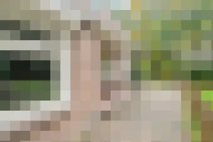 Beerzerweg 7 Ommen thumbnail 44
