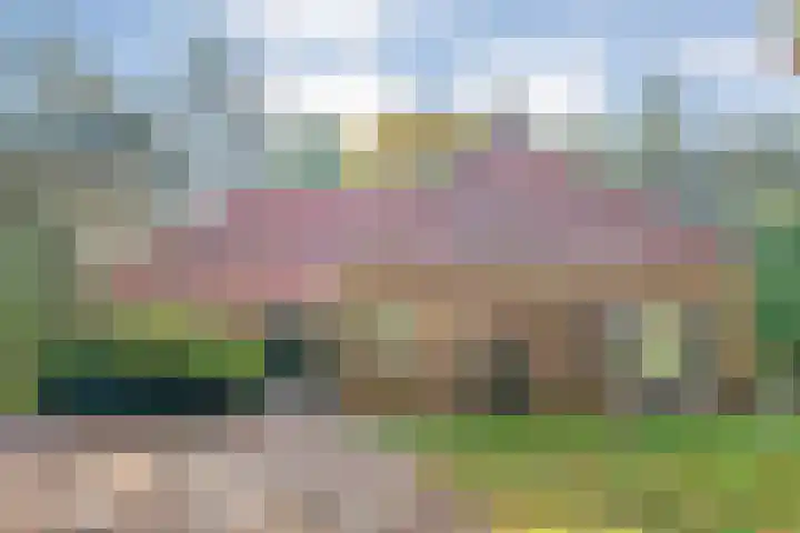 Beerzerweg 7 Ommen thumbnail 5