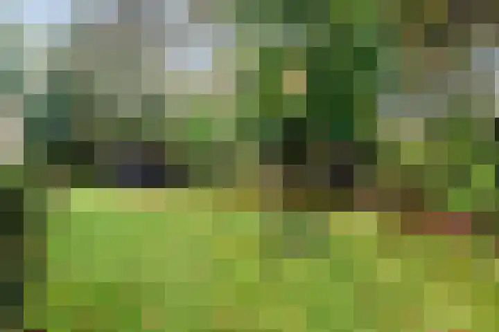 Beerzerweg 7 Ommen thumbnail 50
