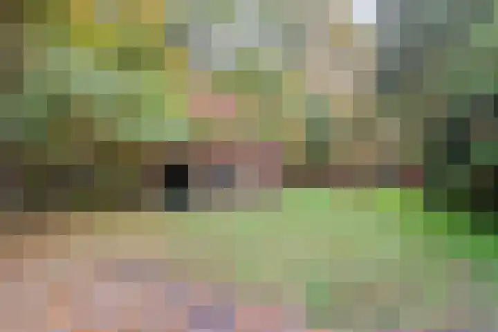 Beerzerweg 7 Ommen thumbnail 52