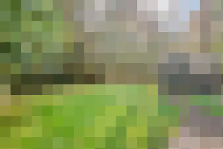 Beerzerweg 7 Ommen thumbnail 53
