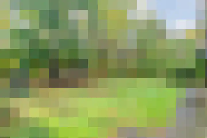 Beerzerweg 7 Ommen thumbnail 55