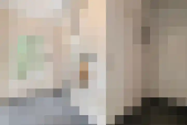 Beerzerweg 7 Ommen thumbnail 6