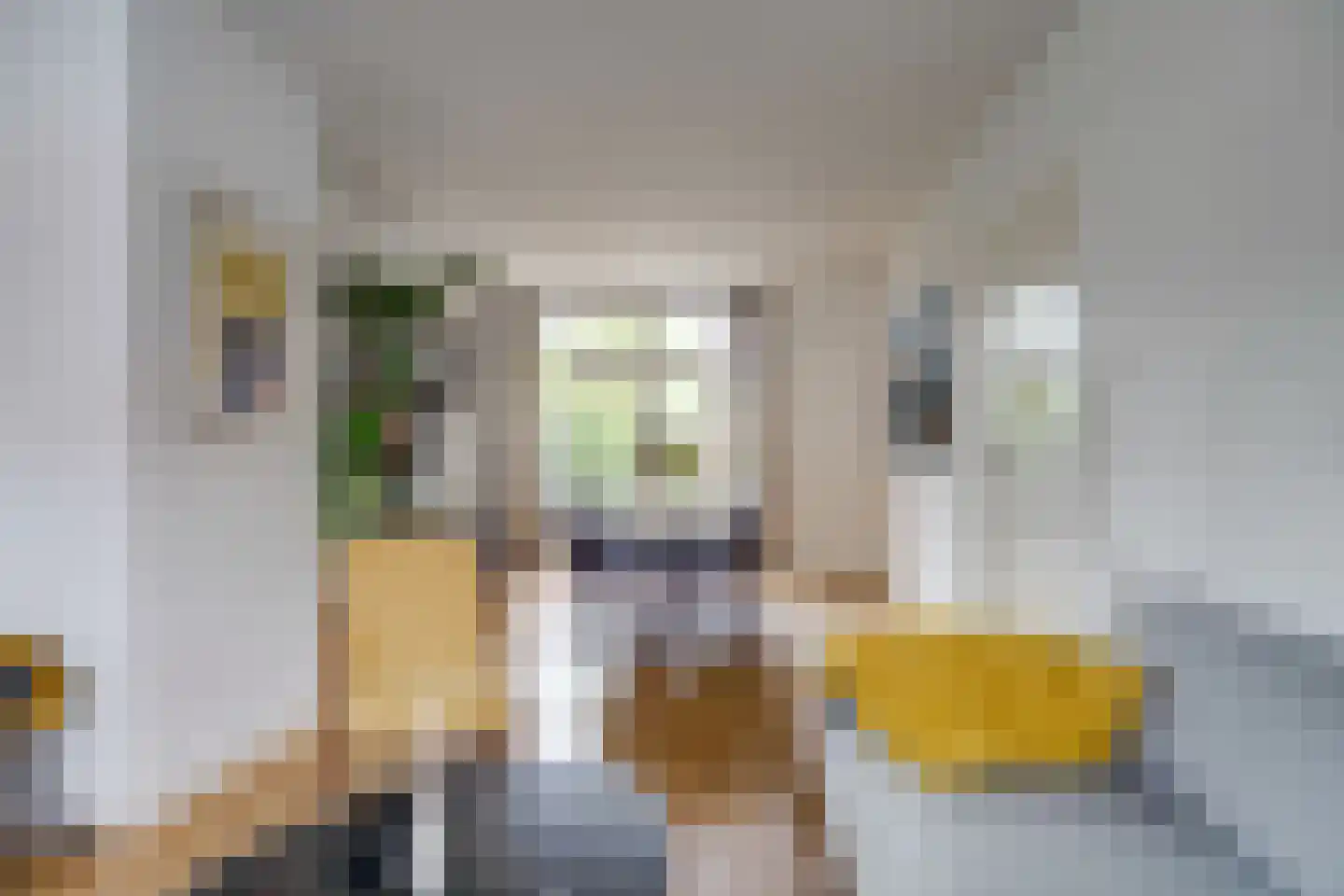 Beerzestraat 14 Utrecht thumbnail 11