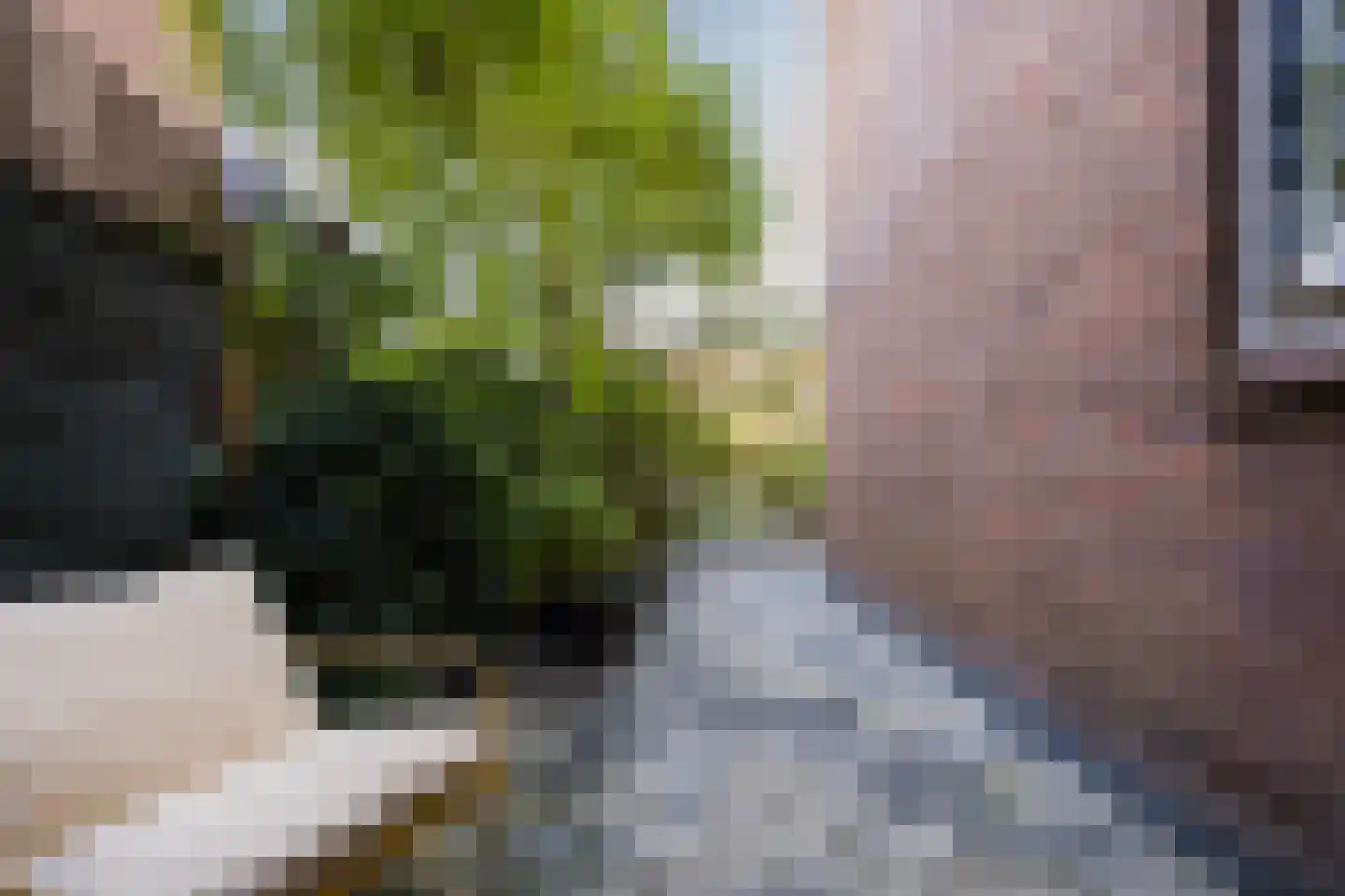 Beerzestraat 14 Utrecht thumbnail 19