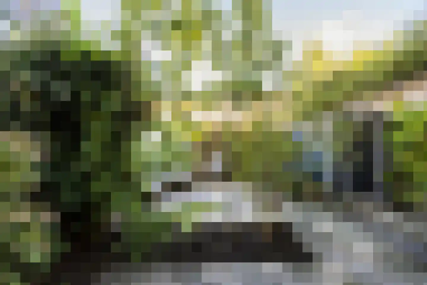 Beerzestraat 14 Utrecht thumbnail 20