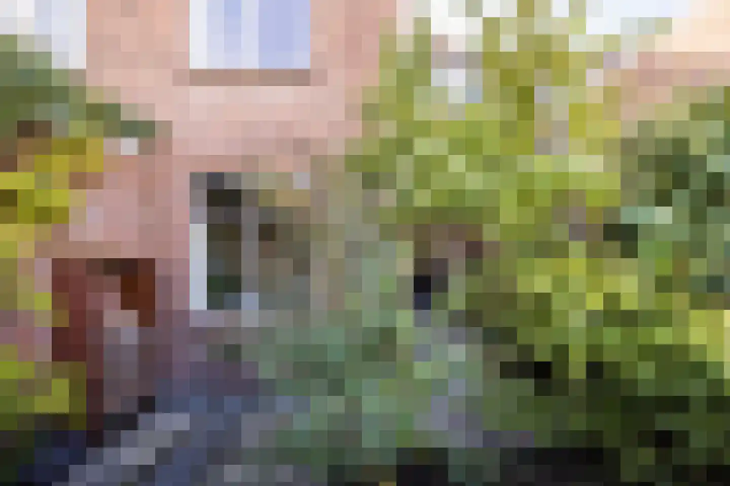 Beerzestraat 14 Utrecht thumbnail 22