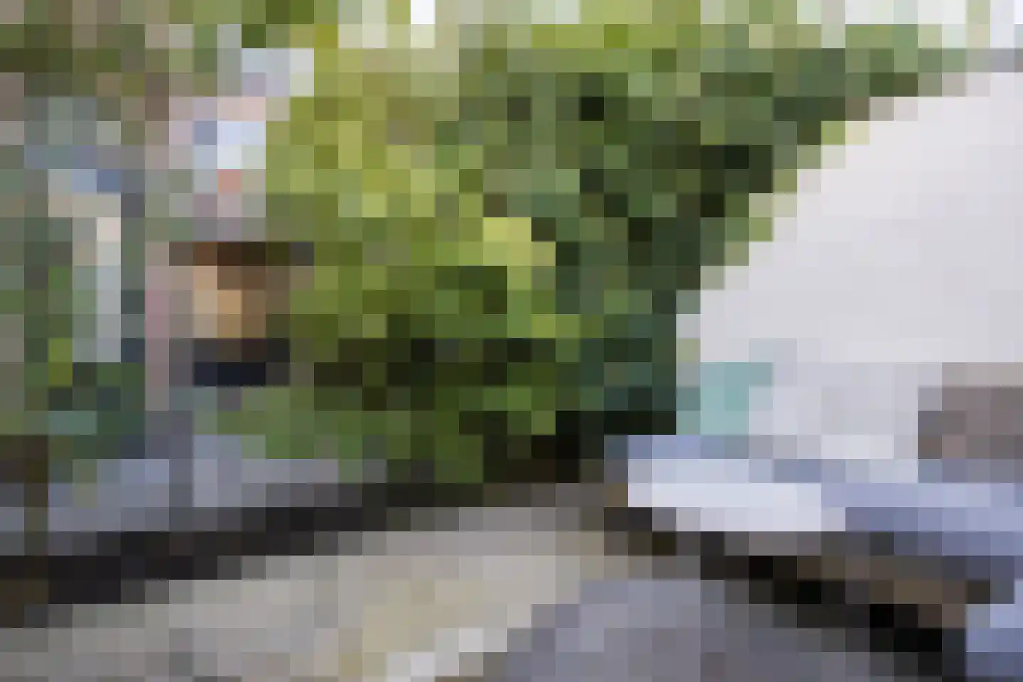 Beerzestraat 14 Utrecht thumbnail 23