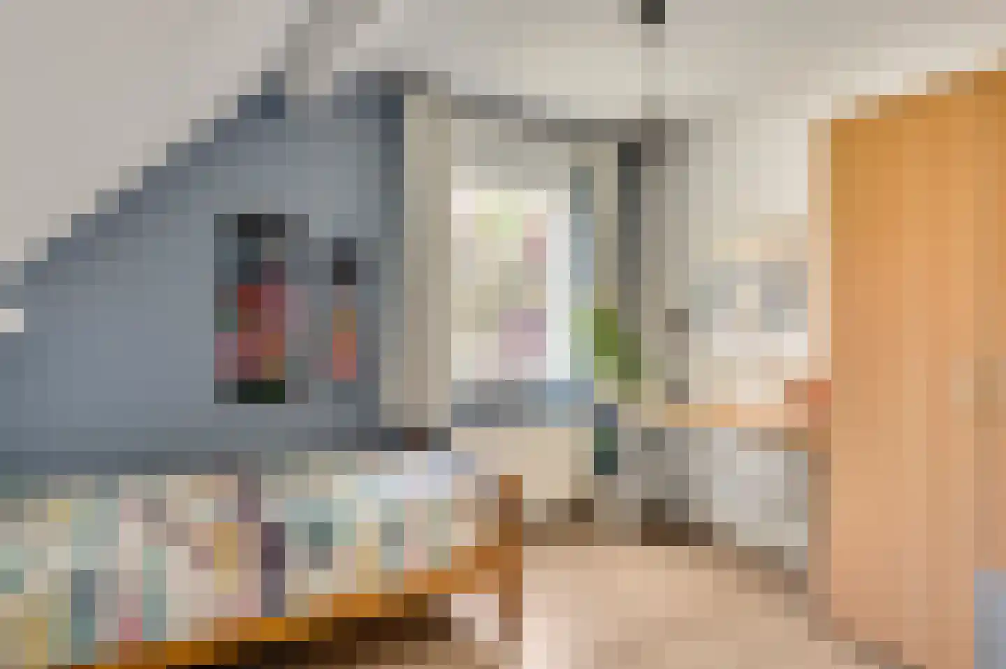 Beeselseweg 24 A Kessel thumbnail 17