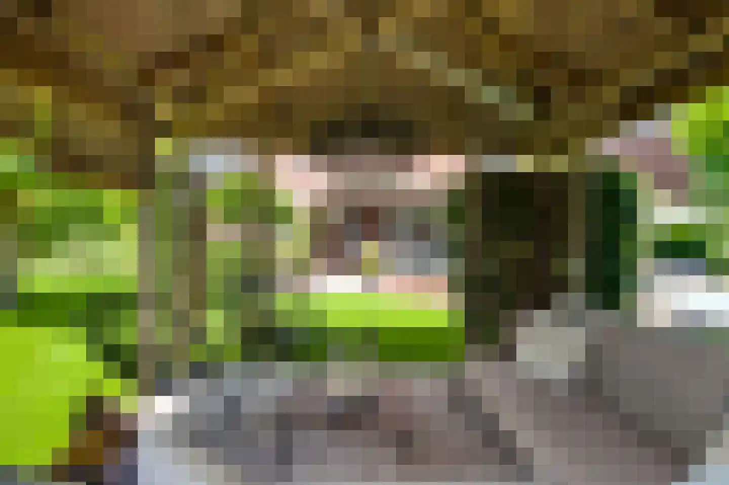 Beeselseweg 24 A Kessel thumbnail 25