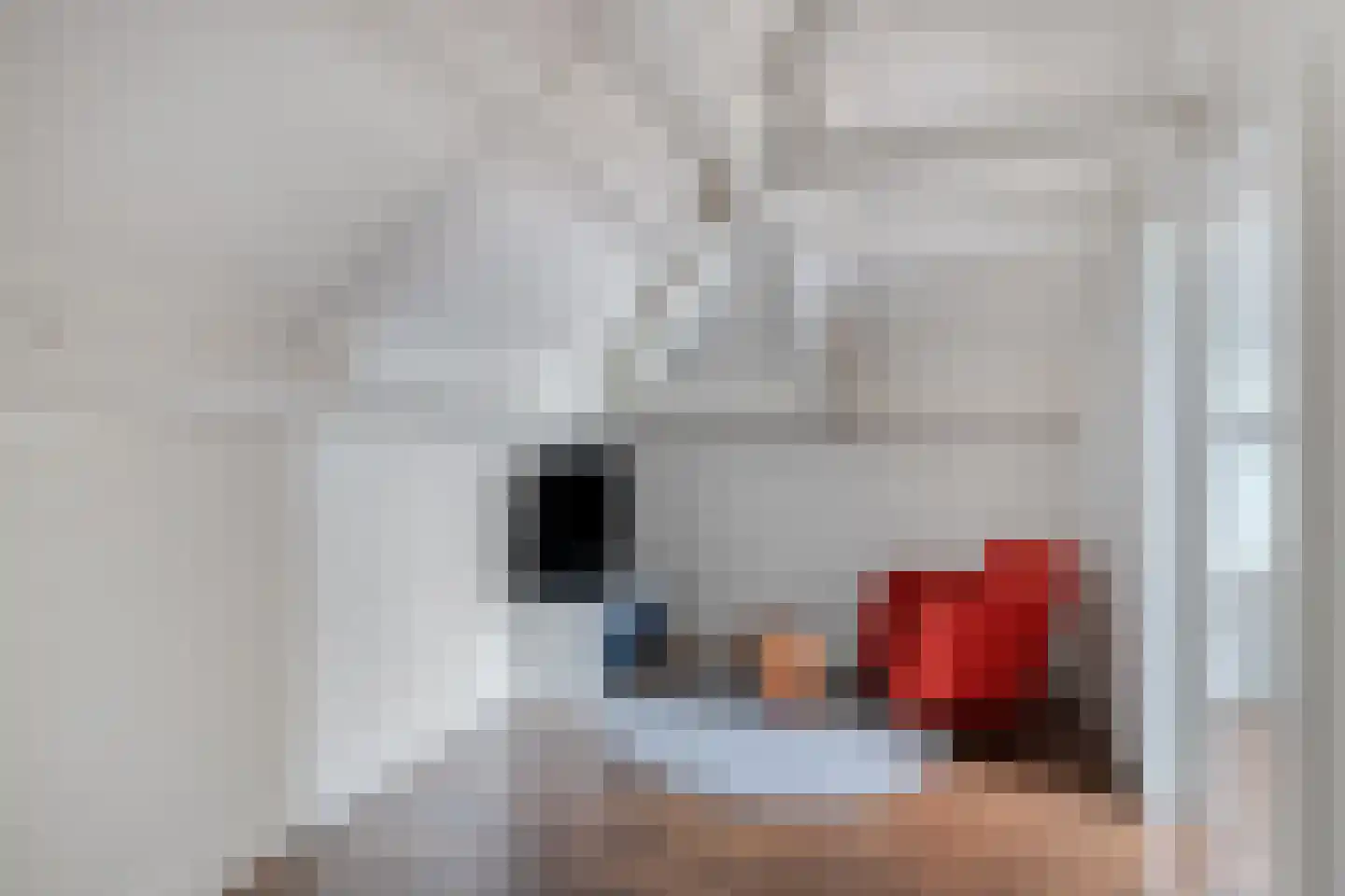Beestenhei 10 Best thumbnail 34