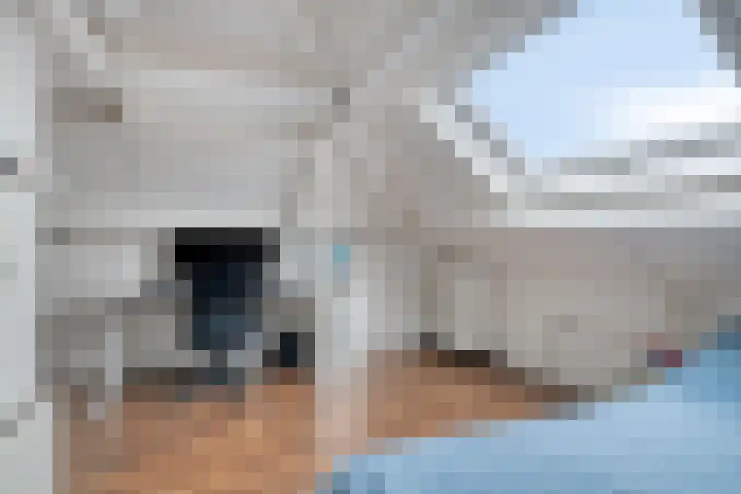Beestenhei 10 Best thumbnail 38