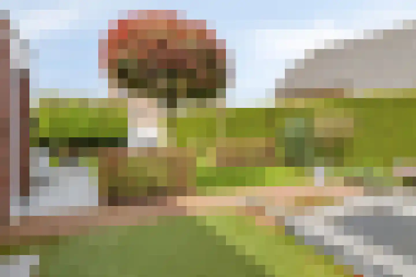 Beestenhei 10 Best thumbnail 40