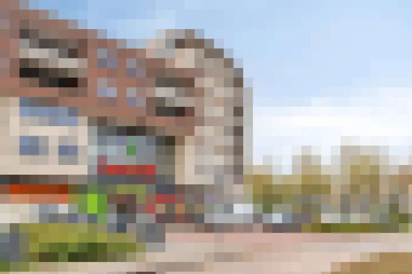 Beestenhei 10 Best thumbnail 48