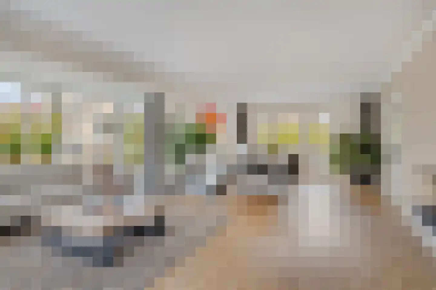 Beestenhei 10 Best thumbnail 9