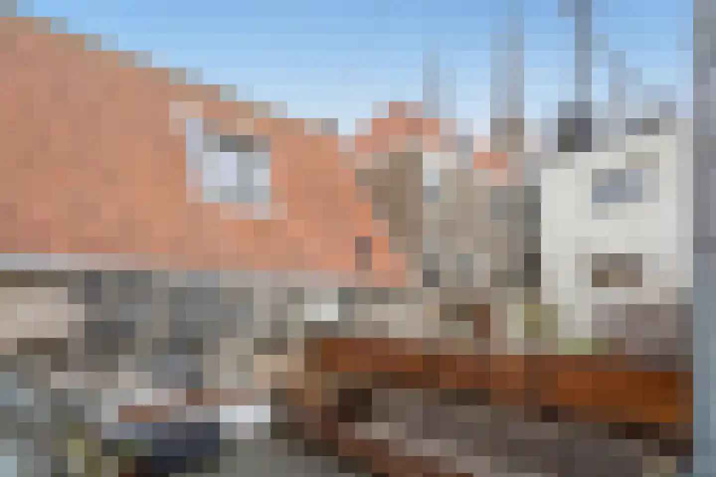 Beestenmarkt 11 B Delft thumbnail 4