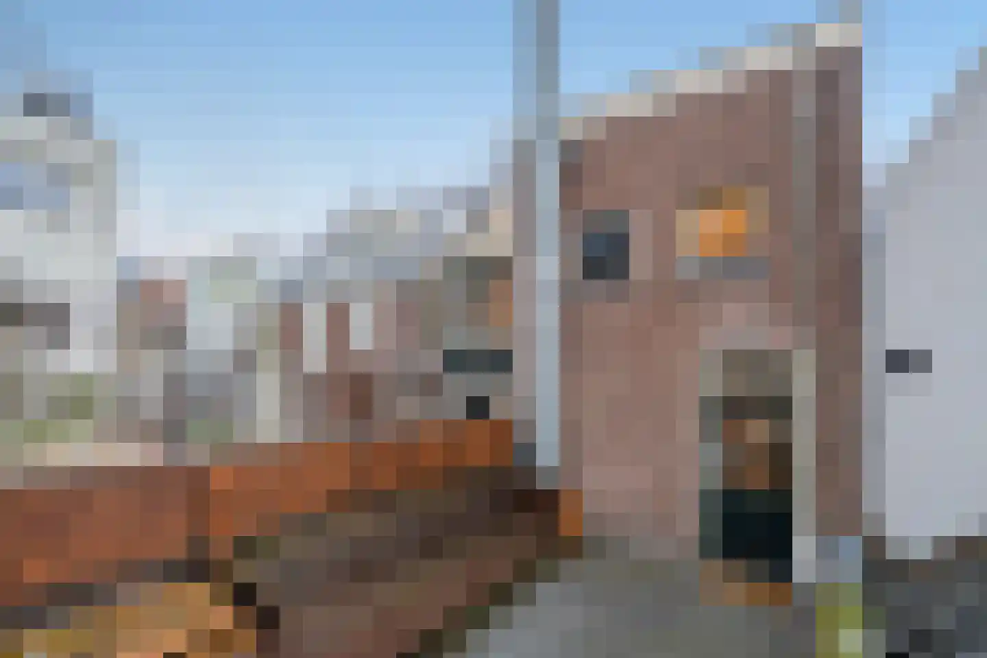 Beestenmarkt 11 B Delft thumbnail 8