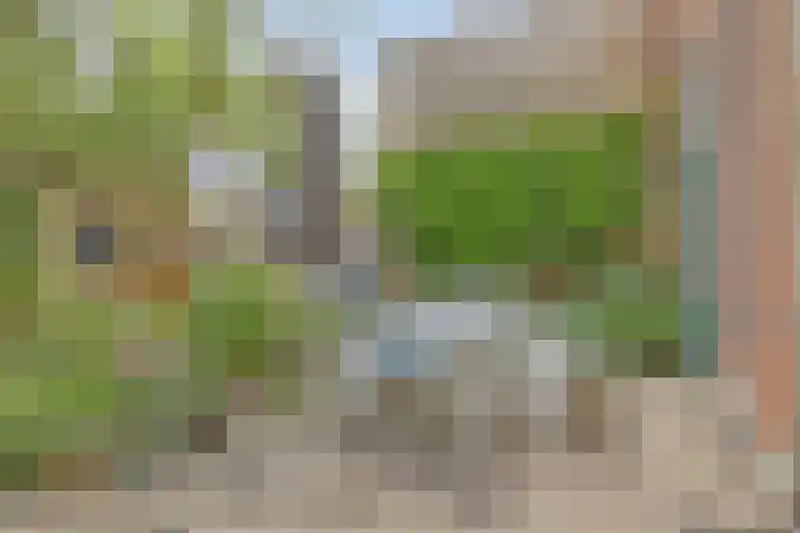 Beestenmarkt 13 Goes thumbnail 39