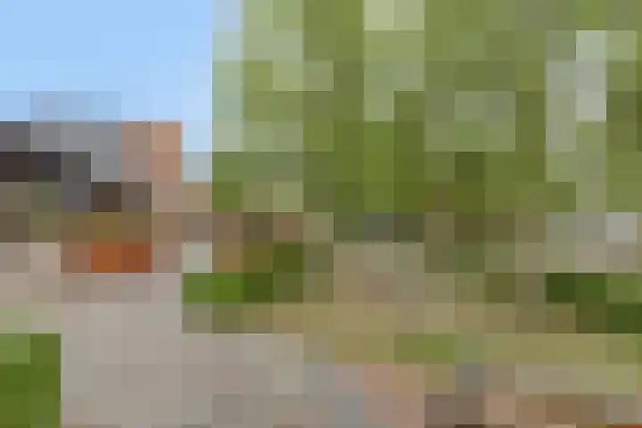 Beestenmarkt 13 Goes thumbnail 48
