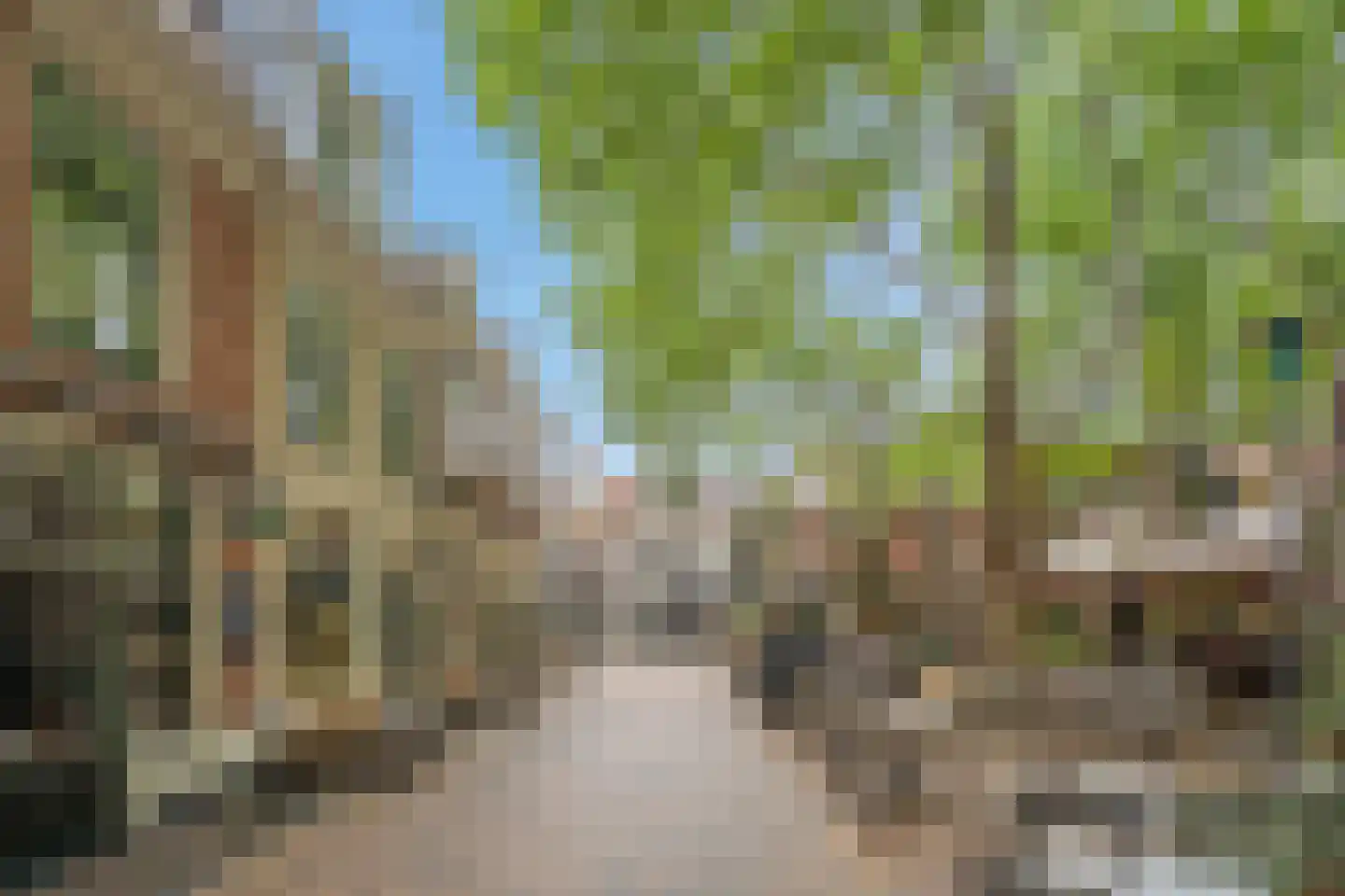 Beestenmarkt 31 Delft thumbnail 5