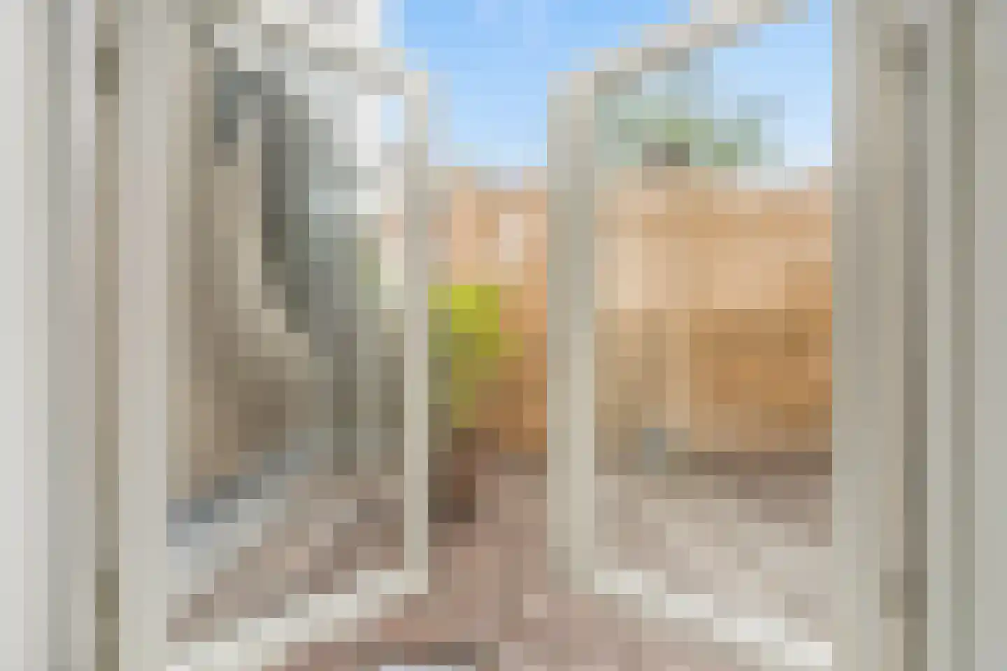 Beestenmarkt 31 Delft thumbnail 9