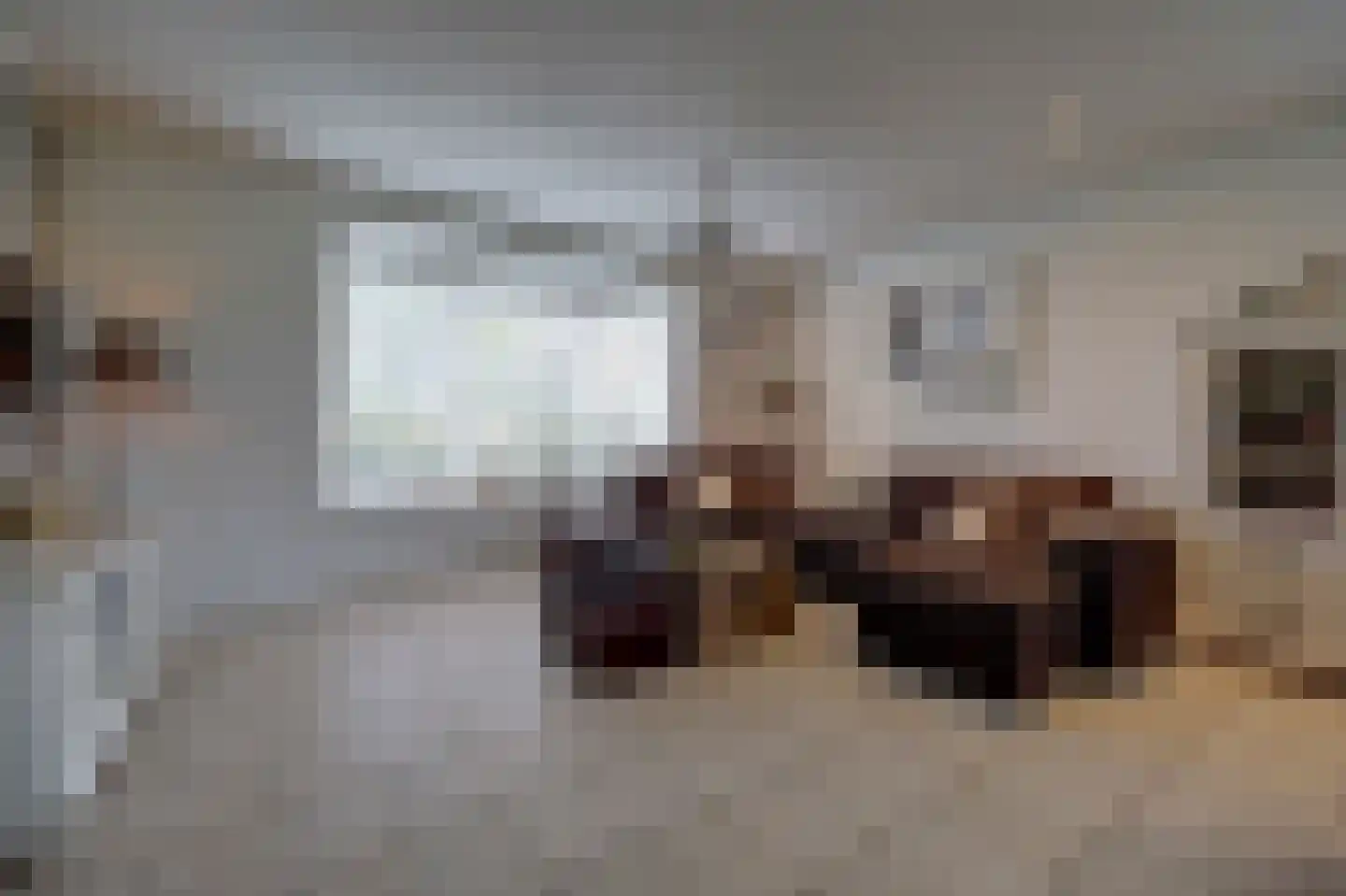 Beeteweg 5 Blitterswijck thumbnail 11