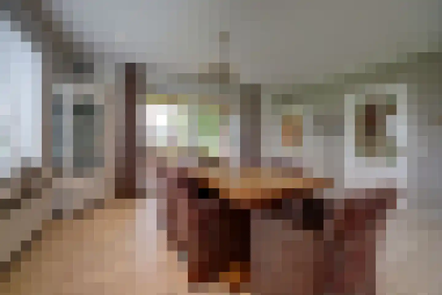 Beeteweg 5 Blitterswijck thumbnail 13