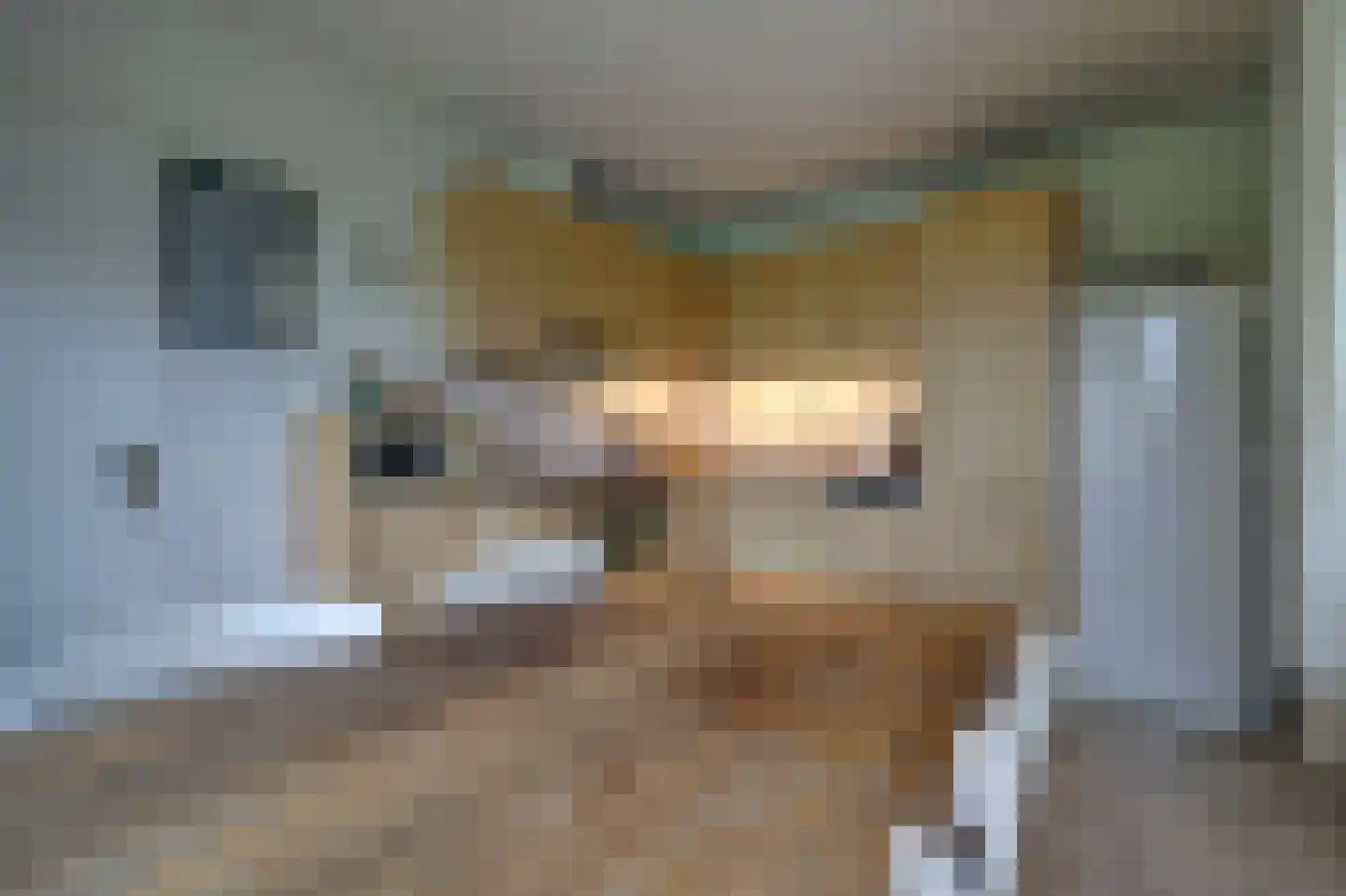 Beeteweg 5 Blitterswijck thumbnail 18