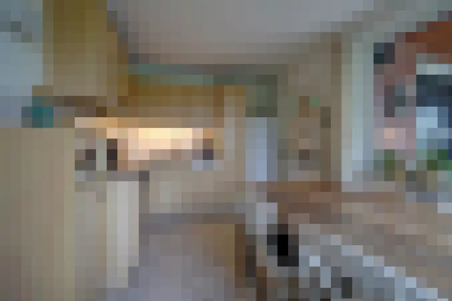 Beeteweg 5 Blitterswijck thumbnail 19