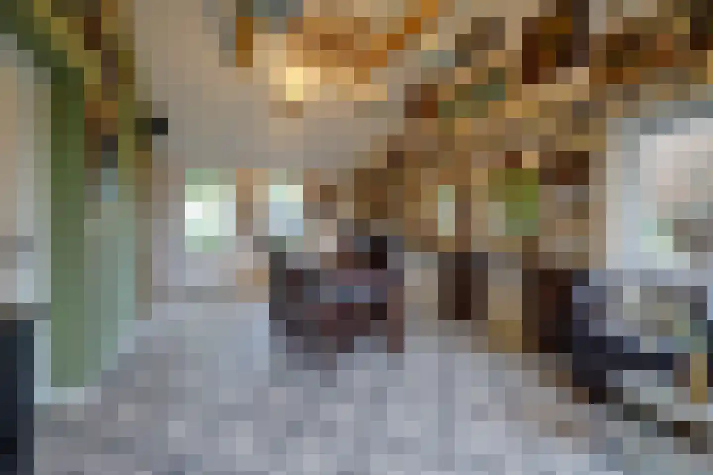 Beeteweg 5 Blitterswijck thumbnail 20