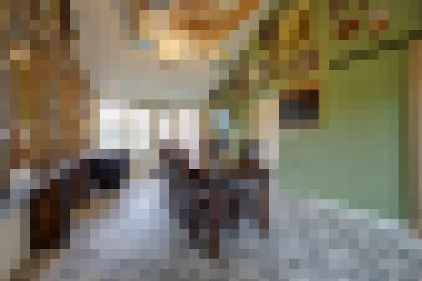 Beeteweg 5 Blitterswijck thumbnail 21