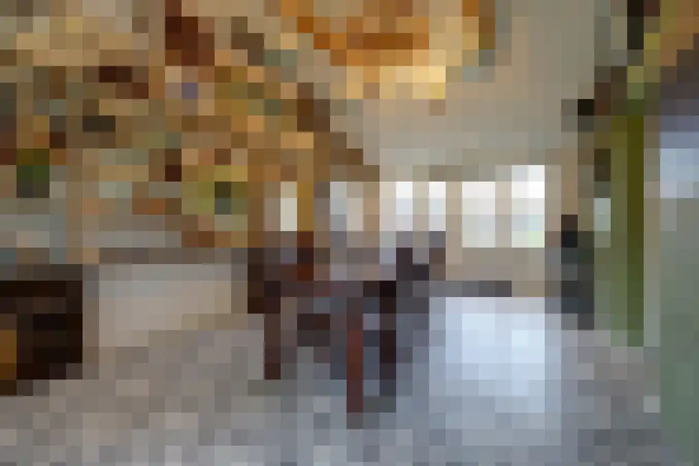 Beeteweg 5 Blitterswijck thumbnail 22