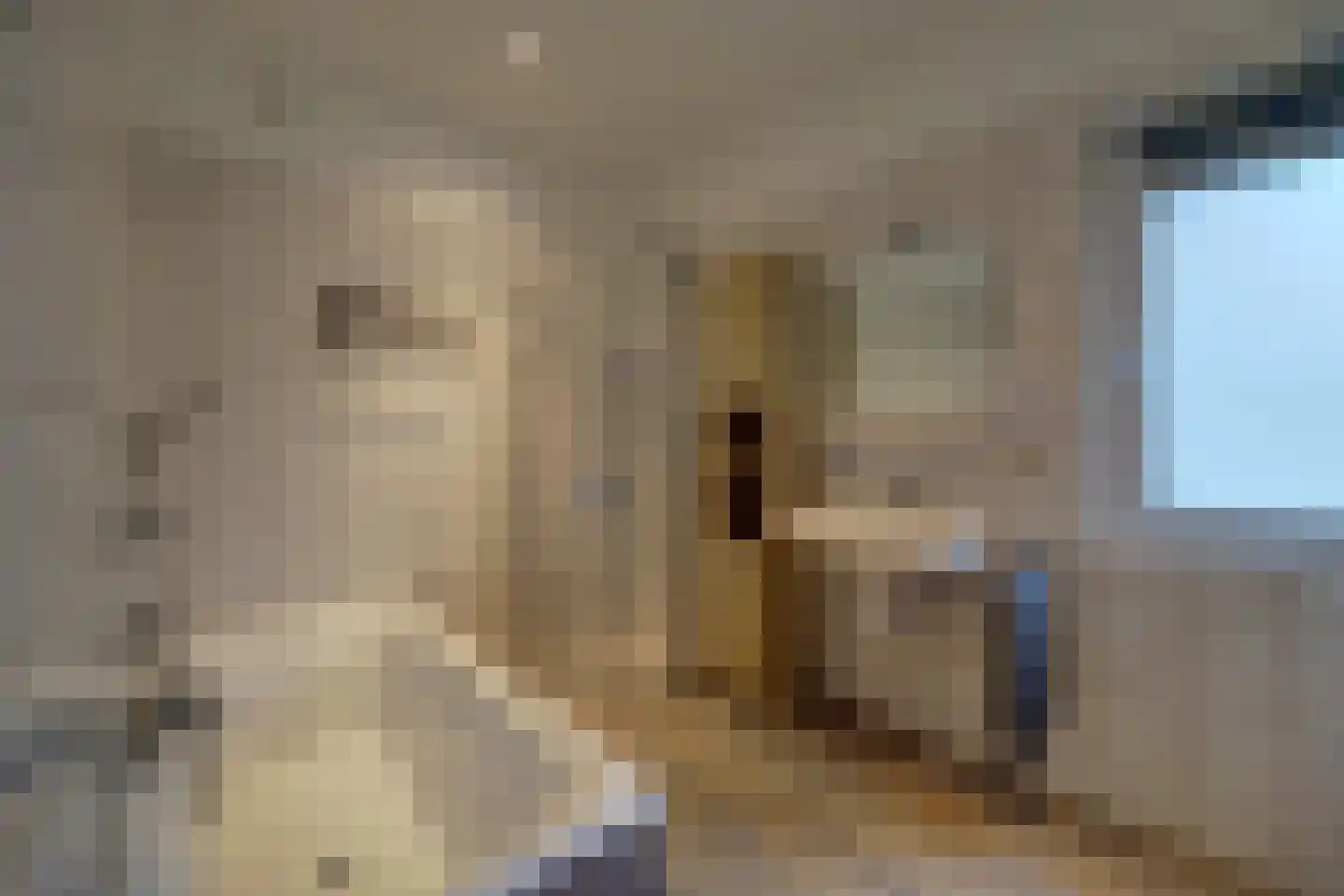 Beeteweg 5 Blitterswijck thumbnail 35