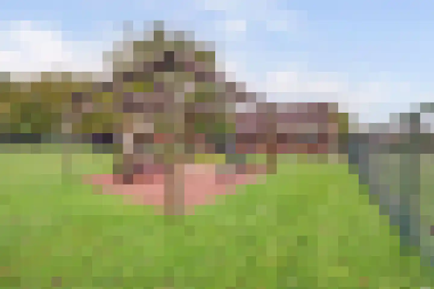 Beeteweg 5 Blitterswijck thumbnail 4