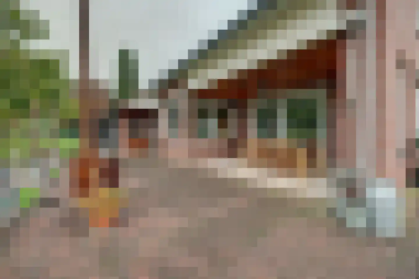 Beeteweg 5 Blitterswijck thumbnail 45