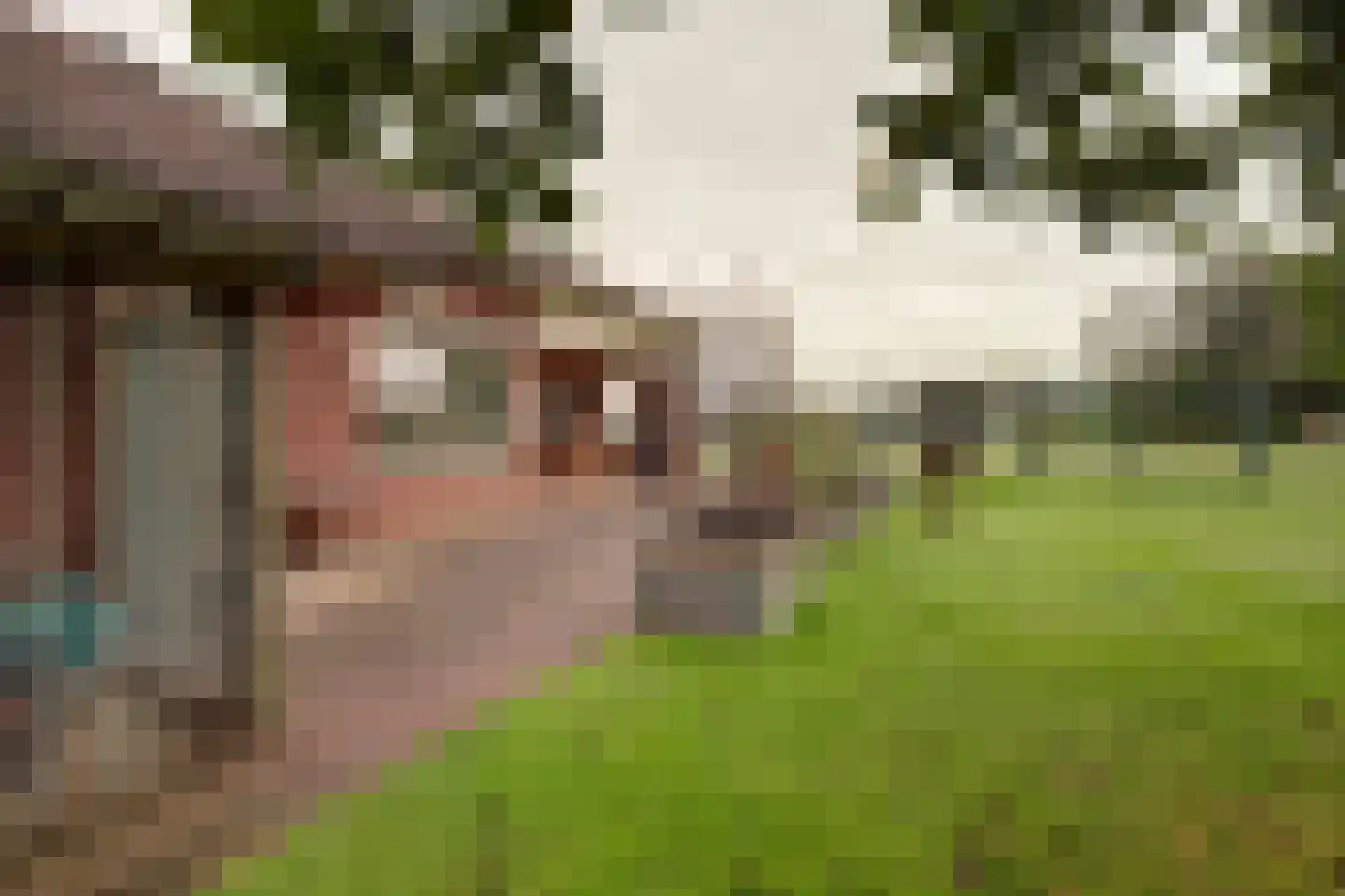 Beeteweg 5 Blitterswijck thumbnail 47