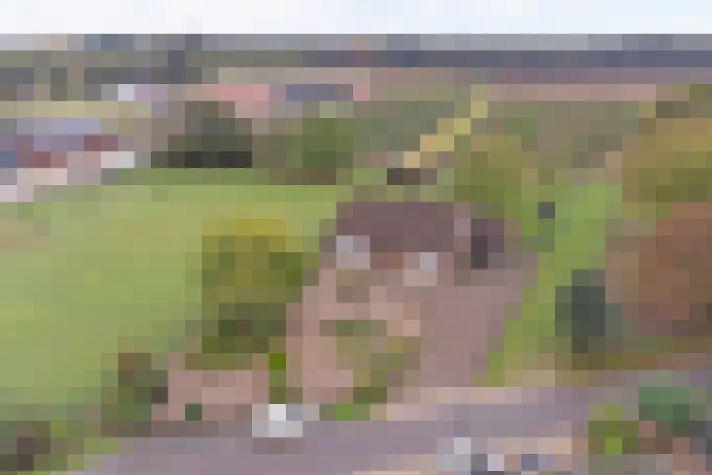 Beeteweg 5 Blitterswijck thumbnail 5