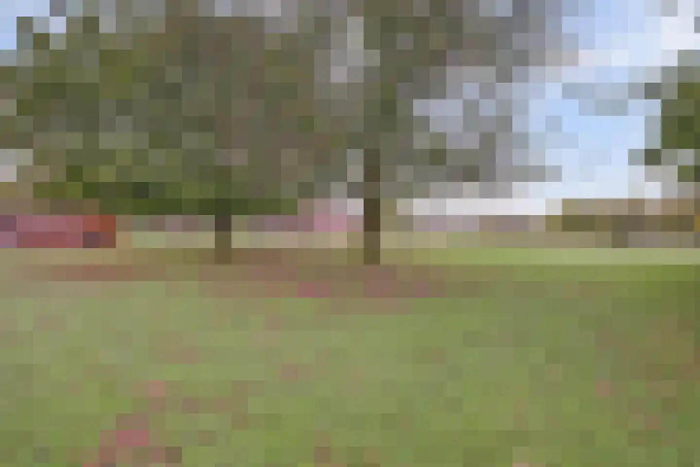 Beeteweg 5 Blitterswijck thumbnail 51