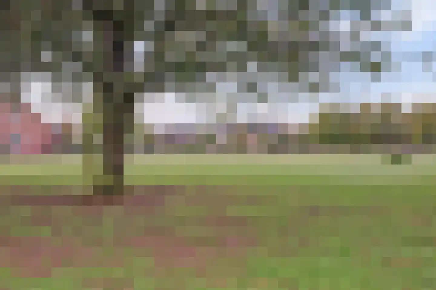 Beeteweg 5 Blitterswijck thumbnail 52
